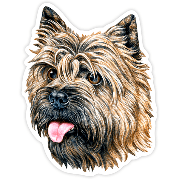Car & Motorbike Stickers: Cairn Terrier