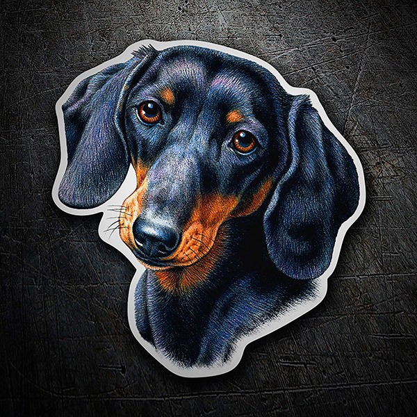 Car & Motorbike Stickers: Dachshund