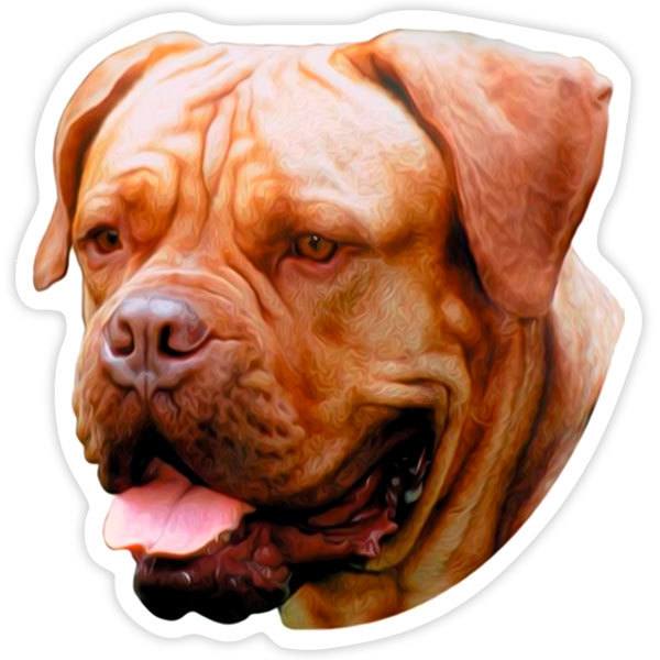 Car & Motorbike Stickers: Dogue De Bordeaux