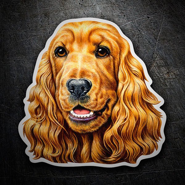 Car & Motorbike Stickers: Cocker Spaniel brown