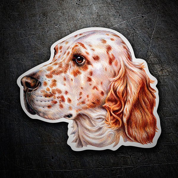 Car & Motorbike Stickers: English Setter