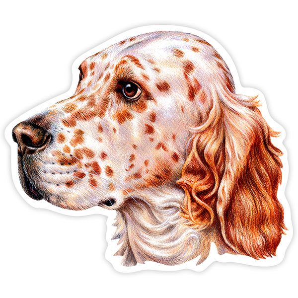 Car & Motorbike Stickers: English Setter