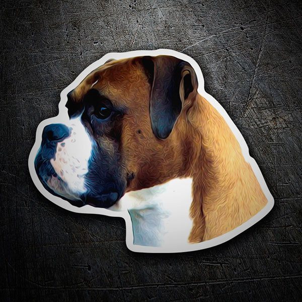 Car & Motorbike Stickers: German Boxer