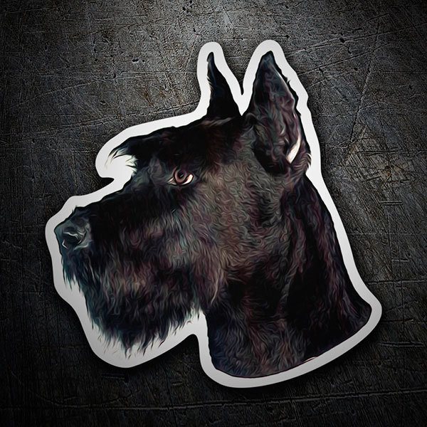 Car & Motorbike Stickers: Giant Schnauzer