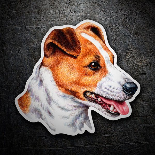 Car & Motorbike Stickers: Jack Russell