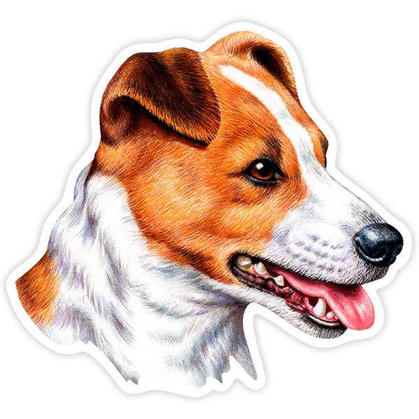 Car & Motorbike Stickers: Jack Russell Terrier