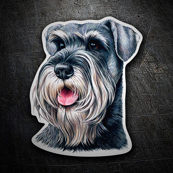 Car & Motorbike Stickers: Schnauzer