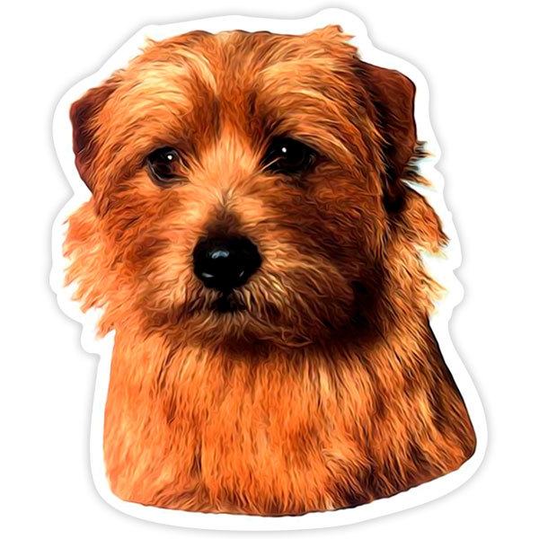 Norwich Terriers on Board Dog Sign Decal Terrier Art V02 Car Window Sticker