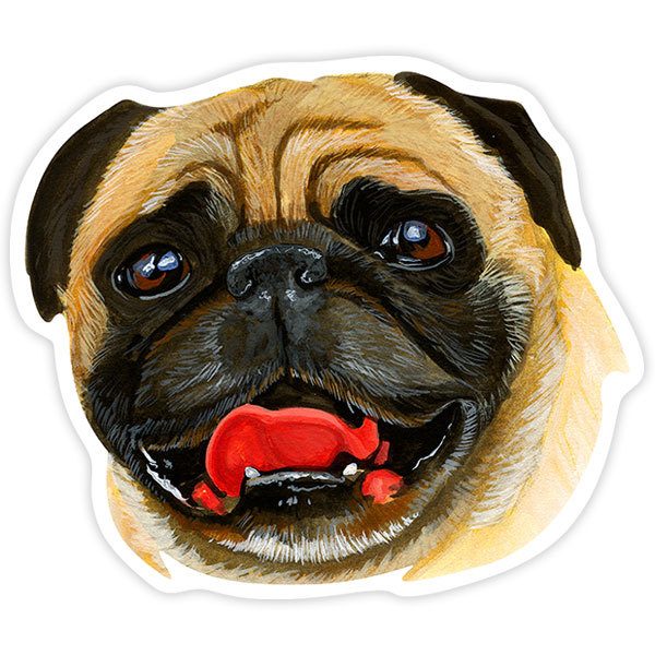 Car & Motorbike Stickers: Pug