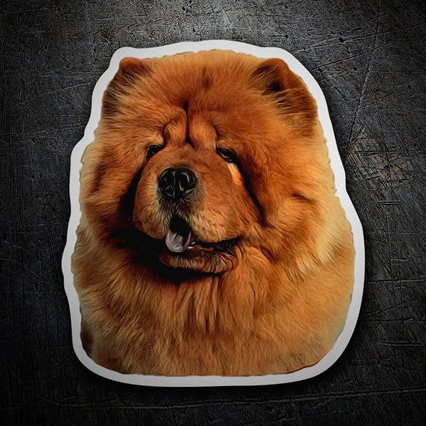 Car & Motorbike Stickers: Chow Chow