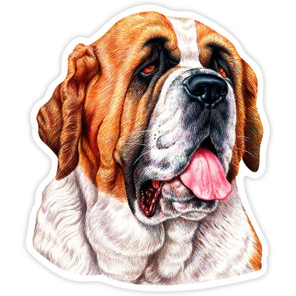 Car & Motorbike Stickers: Saint Bernard Head with Tongue Out