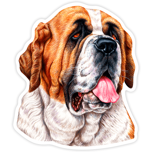 Car & Motorbike Stickers: Saint Bernard Head with Tongue Out