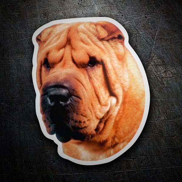 Car & Motorbike Stickers: Shar Pei