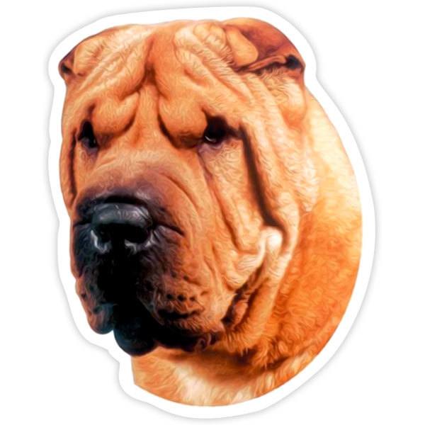 Car & Motorbike Stickers: Shar Pei