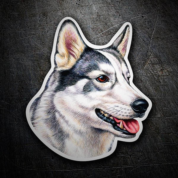 Car & Motorbike Stickers: Siberian Husky