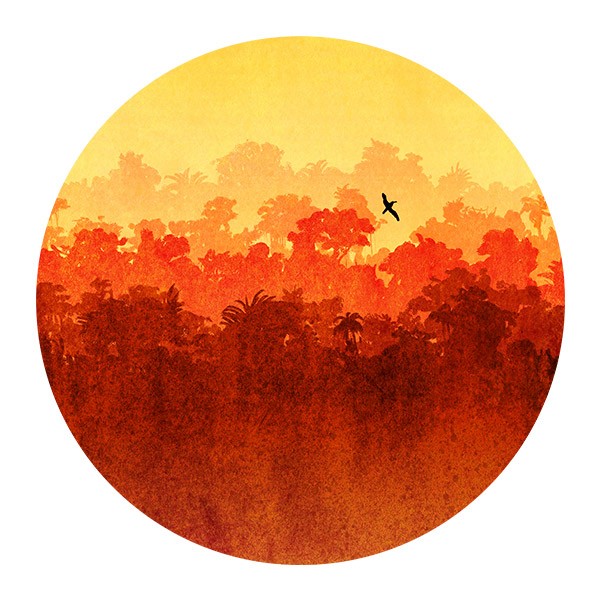 Wall Stickers: Sunset in the Jungle