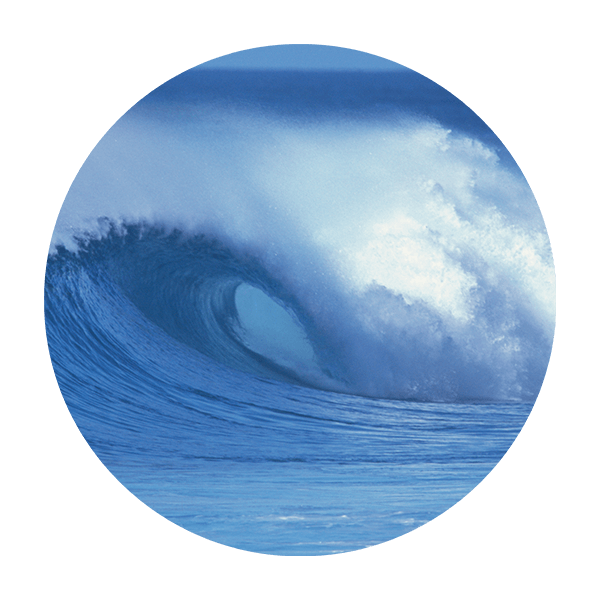 Wall Stickers: Surfing Wave 0