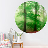 Wall Stickers: Magic Forest 3