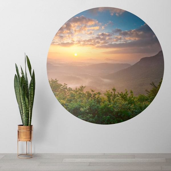 Wall Stickers: Sunset in the Forest