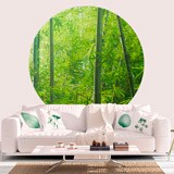 Wall Stickers: Bamboo Forest