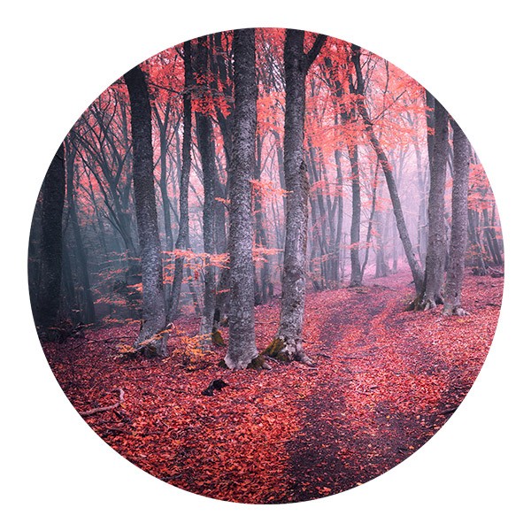 Wall Stickers: Red Forest