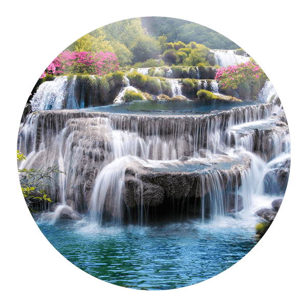 Wall Stickers: Natural Paradise 0
