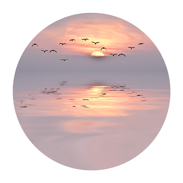 Wall Stickers: Birds at Sunset