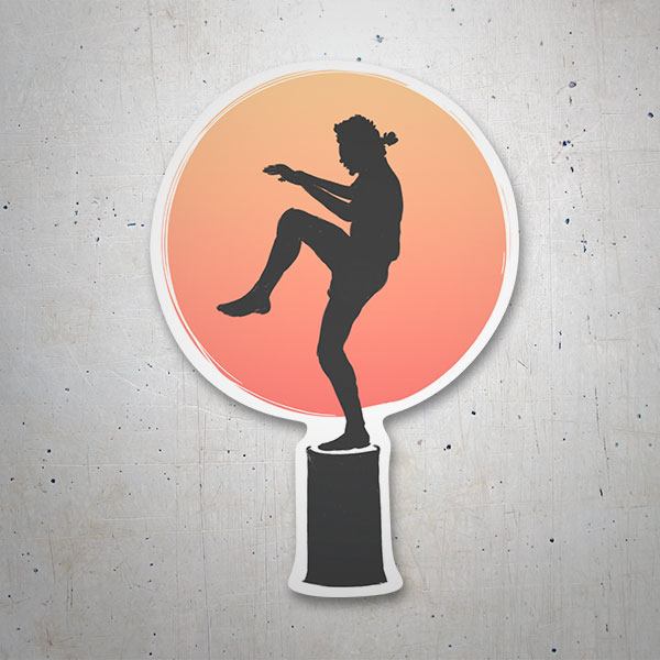 Car & Motorbike Stickers: Cobra Kai Training