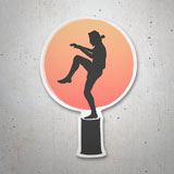 Car & Motorbike Stickers: Cobra Kai Training 3