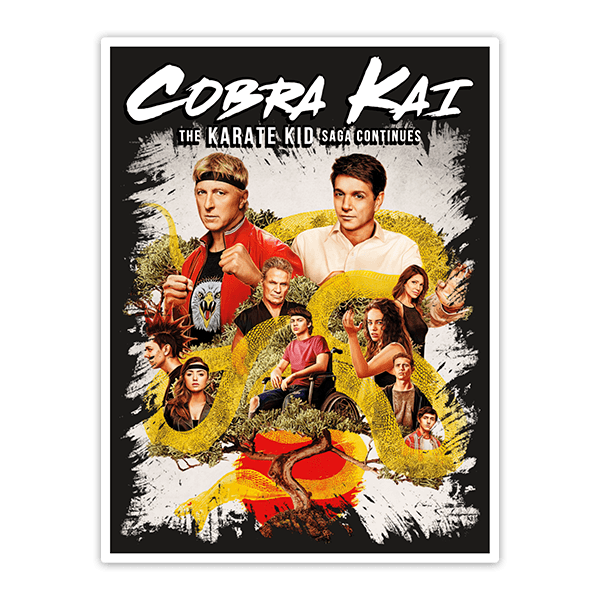 Cobra Kai: The Karate Kid Saga Continues