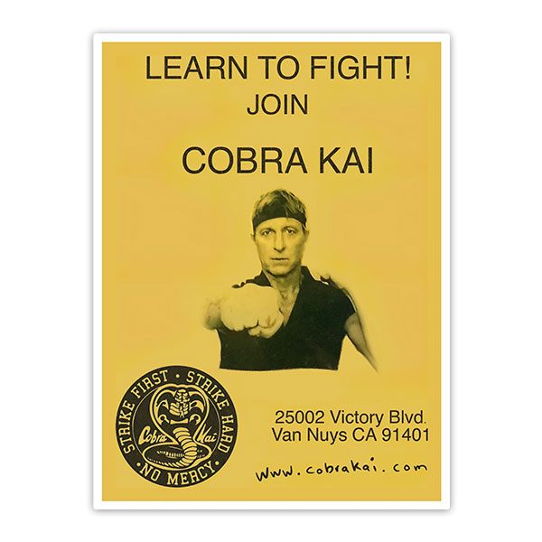 Car & Motorbike Stickers: Cobra Kai Learn to Fight!