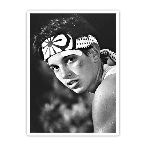 Car & Motorbike Stickers: Daniel LaRusso fights