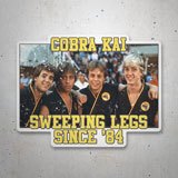 Car & Motorbike Stickers: Cobra Kai Since 84 3