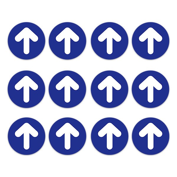 Car & Motorbike Stickers: Set For Floor 12X Blue and White Arrows