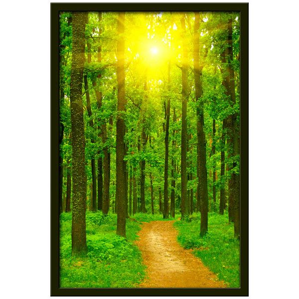 Wall Stickers: Picture Road in the forest