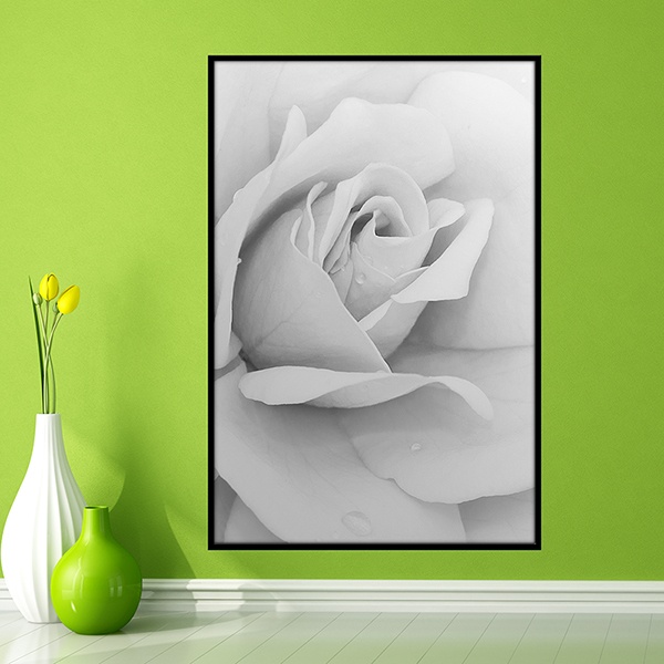 Wall Stickers White Rose