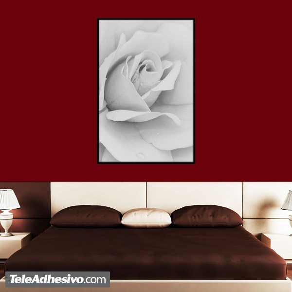 Wall Stickers: Picture White Rose