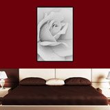 Wall Stickers: Picture White Rose 4