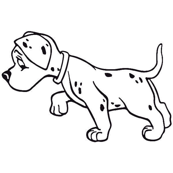 Wall Stickers: Dalmatian puppy