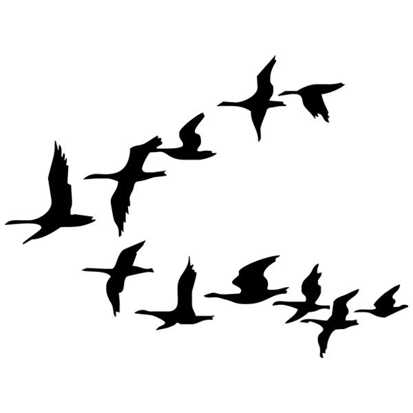 Wall Stickers: Flock of pelicans