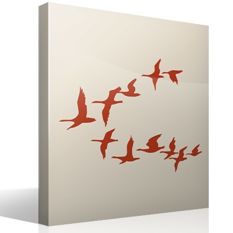 Wall Stickers: Flock of pelicans