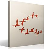 Wall Stickers: Flock of pelicans 3