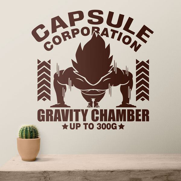 Capsule Corporation Gravity Chamber 2/2