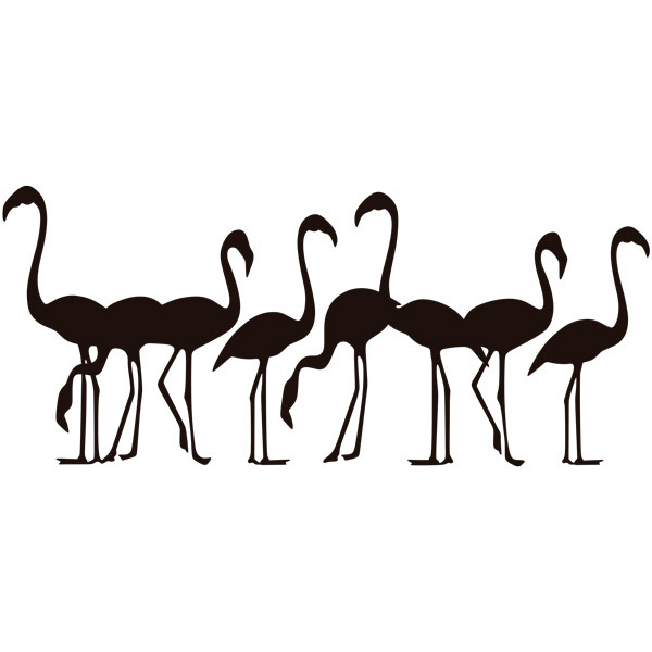 Wall Stickers: Herd of 8 flamingos