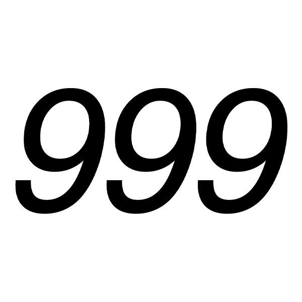 Car & Motorbike Stickers: Ducati 999