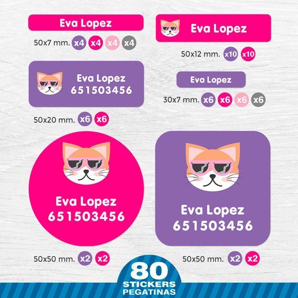 Car & Motorbike Stickers: Kit Name fox with glasses