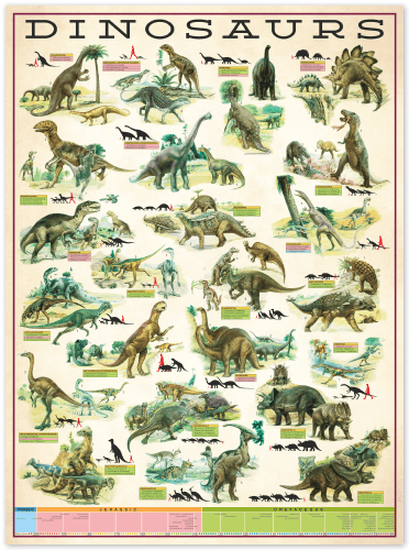 Wall Stickers: Types of Dinosaurs 0