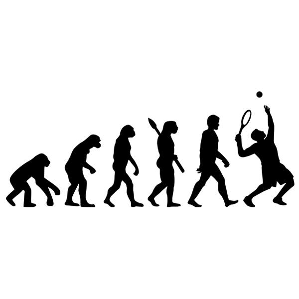 Wall Stickers: Tennis Evolution