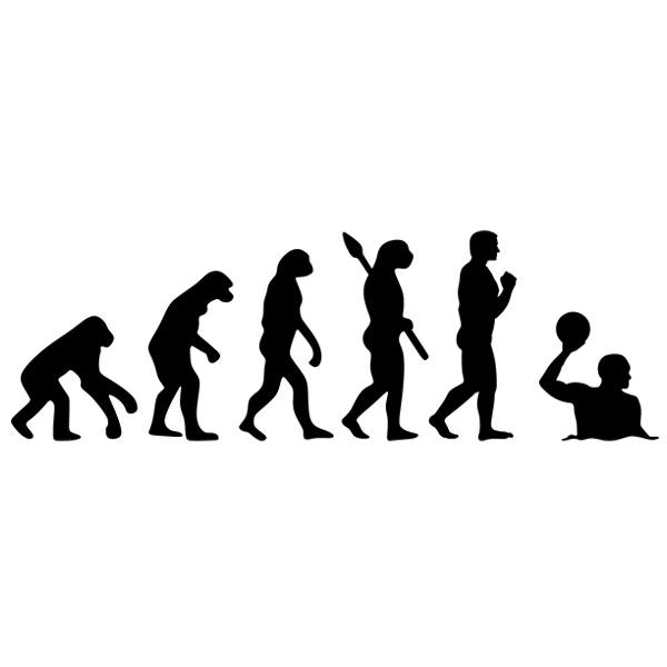 Wall Stickers: Waterpolo evolution