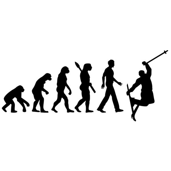 Wall Stickers: Ski evolution